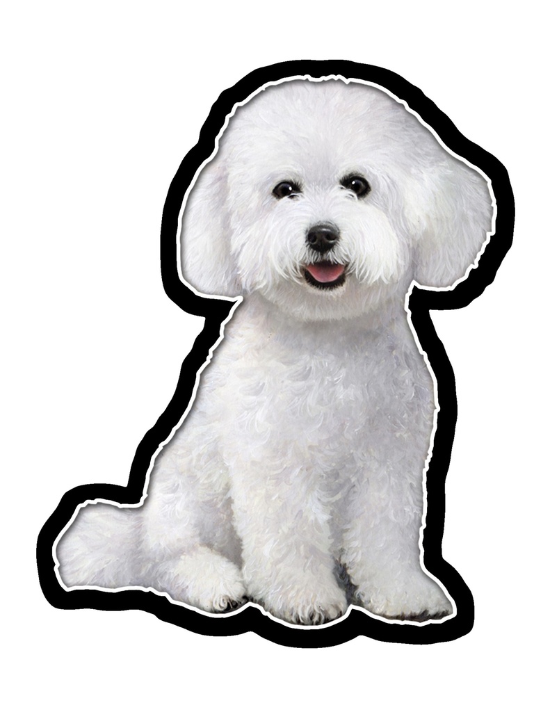 Bichon Frise Sticker