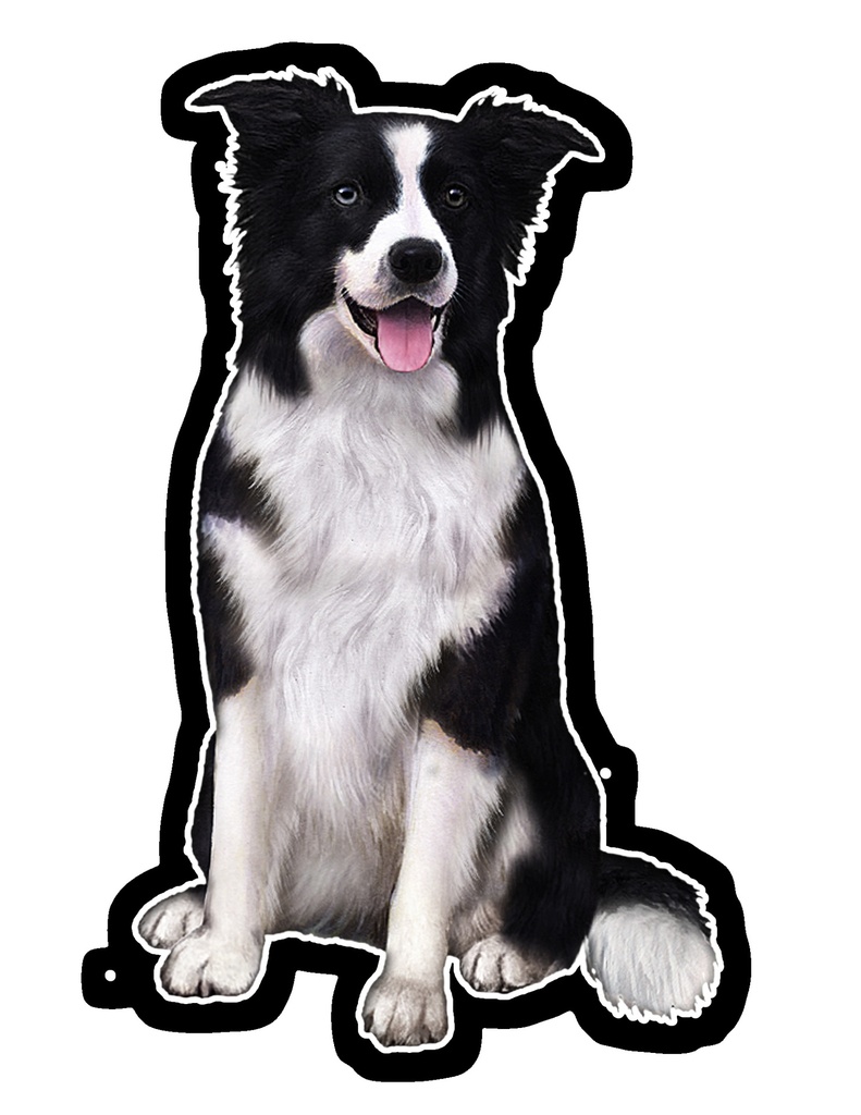 Border Collie Sticker