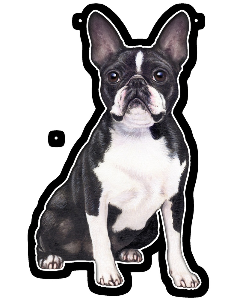 Boston Terrier Sticker