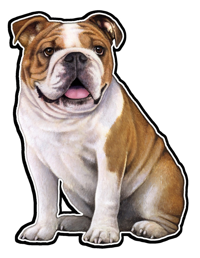 Bulldog Sticker