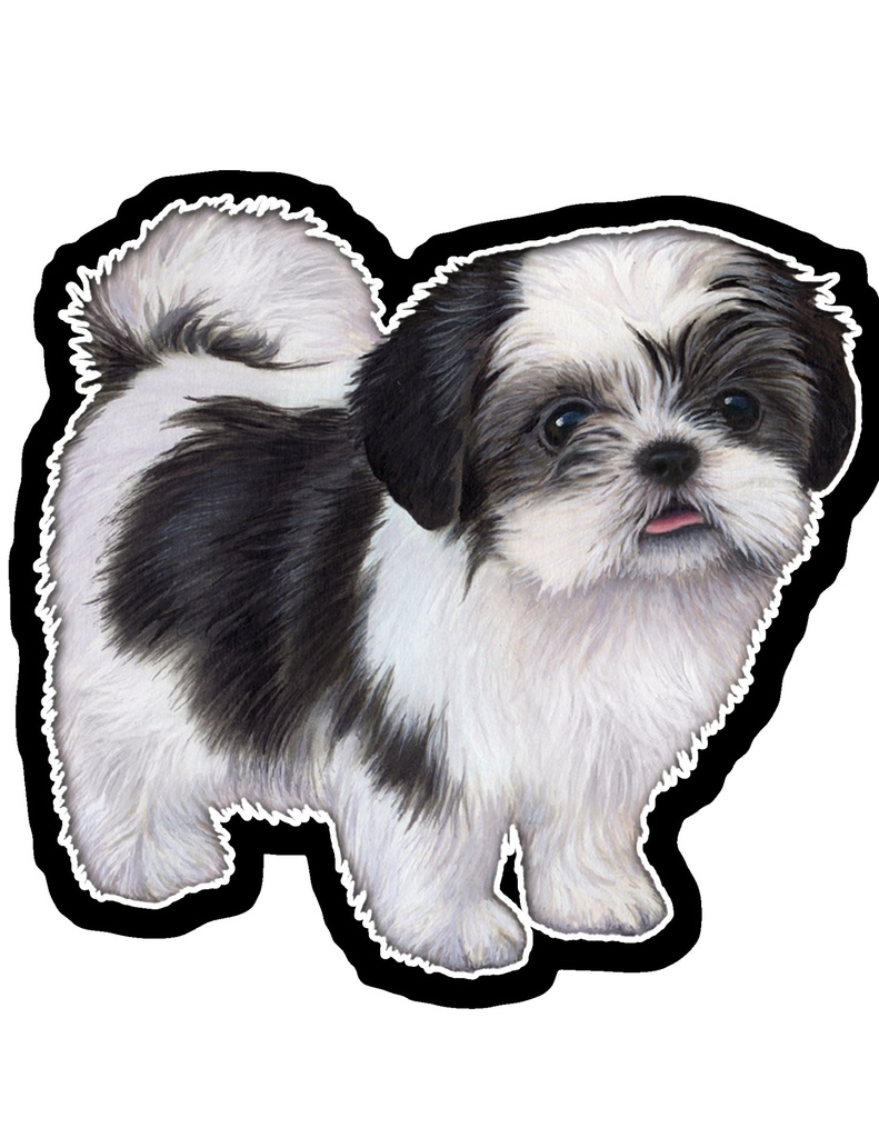 Shih Tzu, Black & White Puppy Cut Sticker