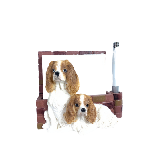 King Charles XXX Note Holder