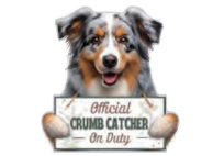 Australian Shepherd, Chip clip