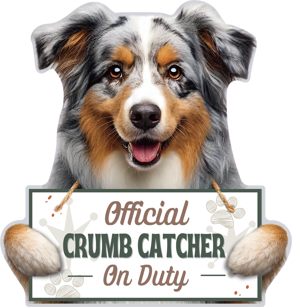 Australian Shepherd, Chip clip