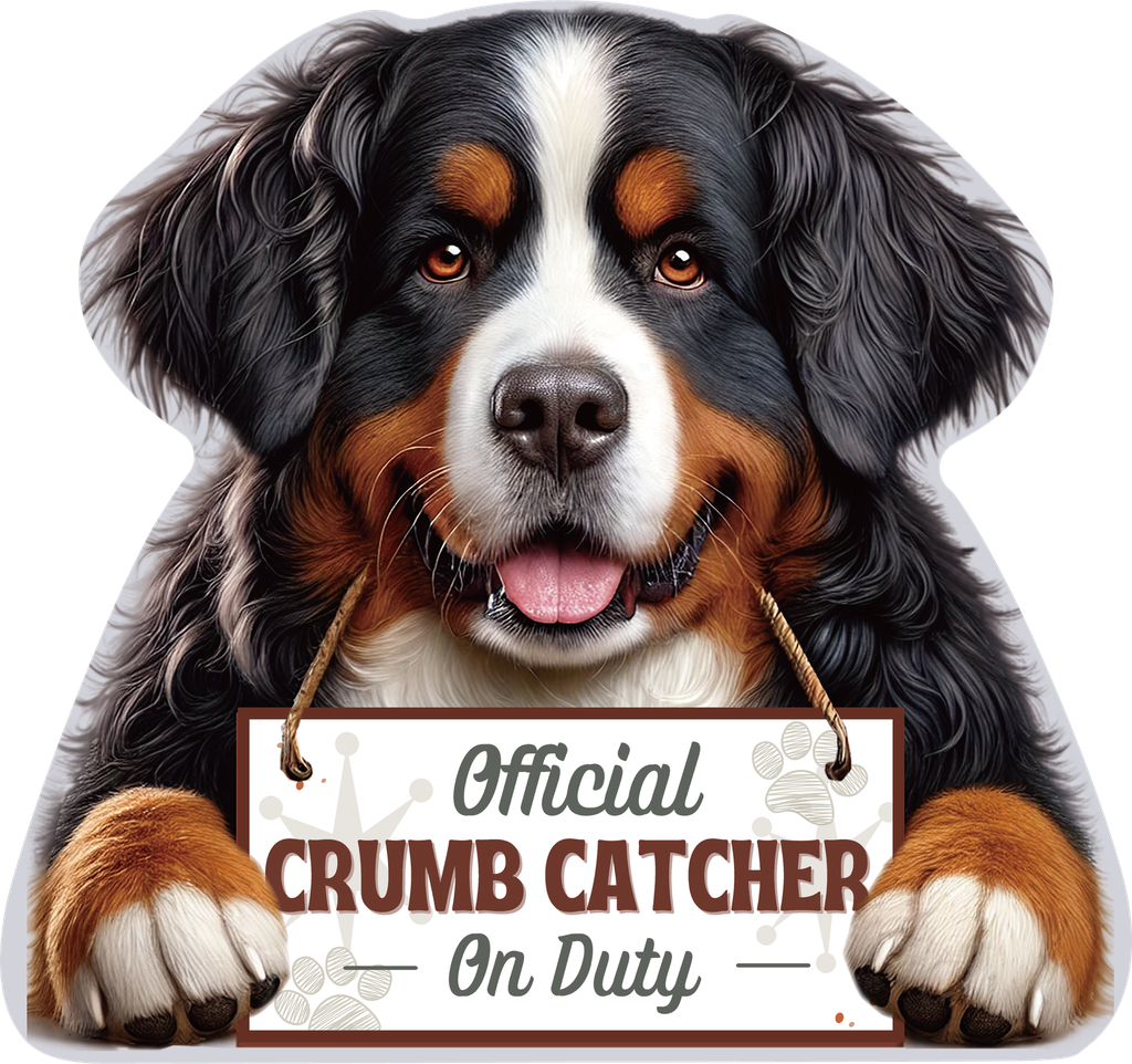 Bernese Mt. Dog, Chip clip