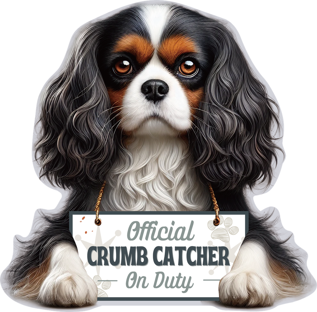 Cavalier King Charles, Tri Color, Chip clip