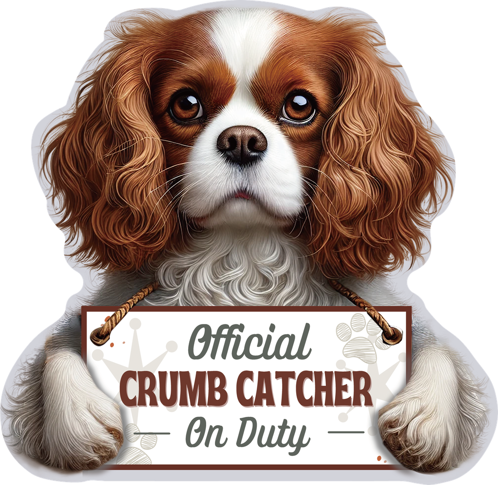 Cavalier King, Chip clip