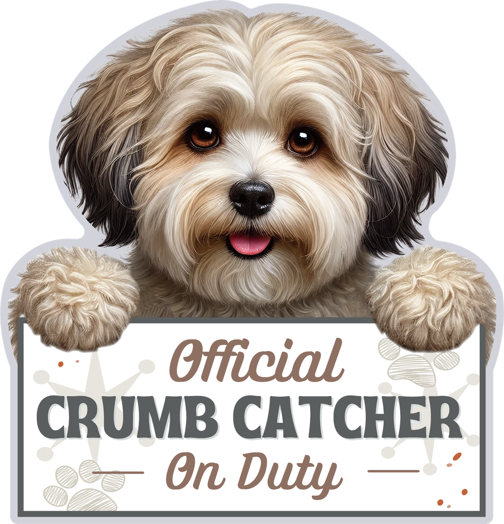 Havanese, Chip clip
