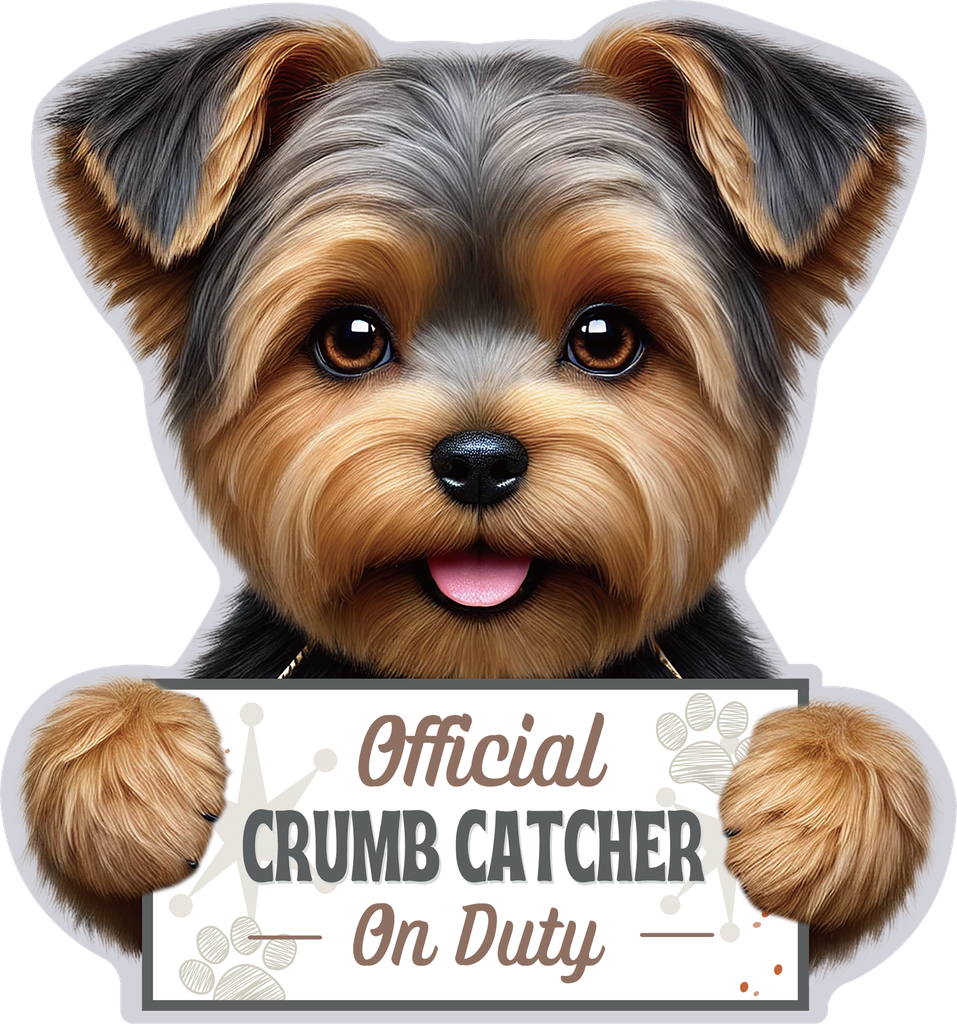 Yorkie, Puppy Cut, Chip clip