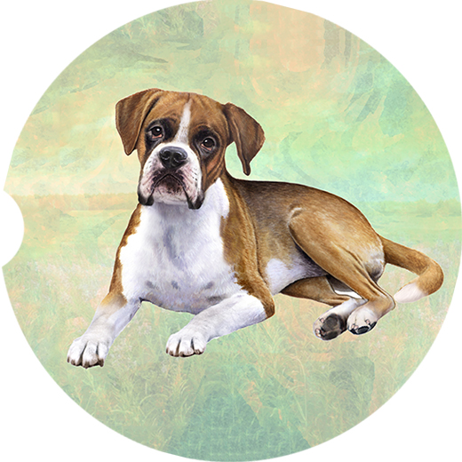 Boxer coasters car (Laying)