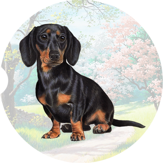 Dachshund Black and tan coasters car (Sitting)