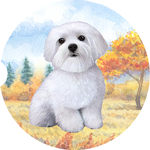 Maltese Standing coasters car (Sitting)
