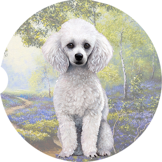 Poodle, White coasters car (Sitting)