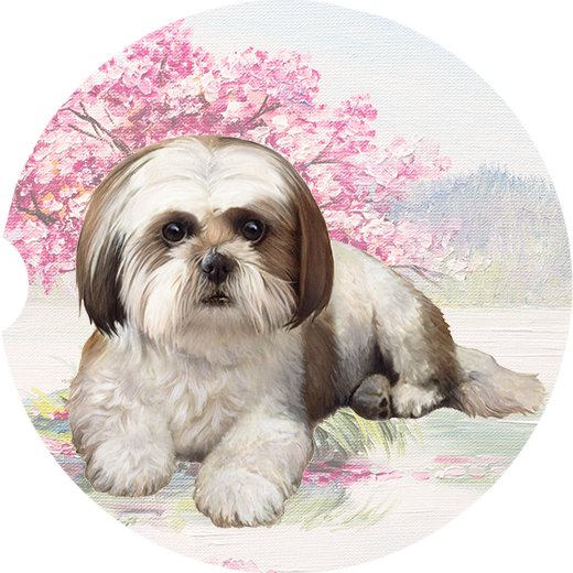Shih Tzu Tan and White Laying  coasters car (Laying)