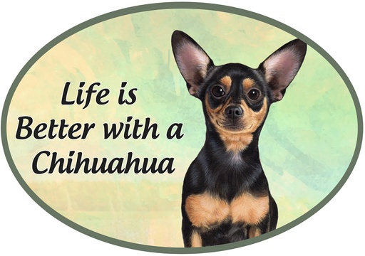 [1001-11] Chihuahua, black Euro Magnets