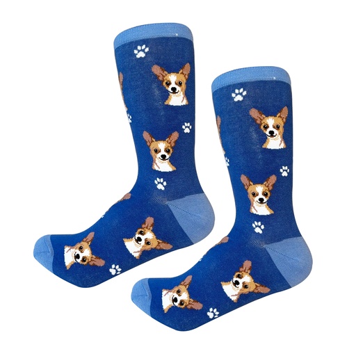[800-10] Chihuahua, fawn Sock Daddy
