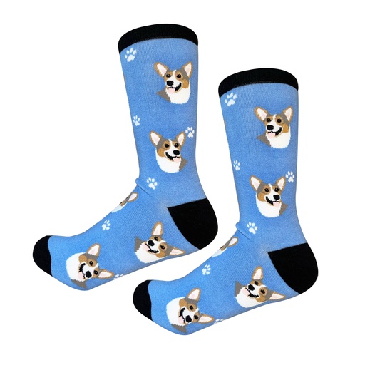 [800-100] Welsh Corgi  Sock Daddy