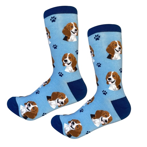 [800-3] Beagle  Sock Daddy