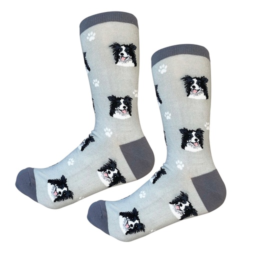 [800-5] Border Collie  Sock Daddy