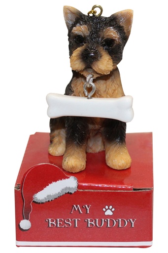 [900-107] YORKIE PUP