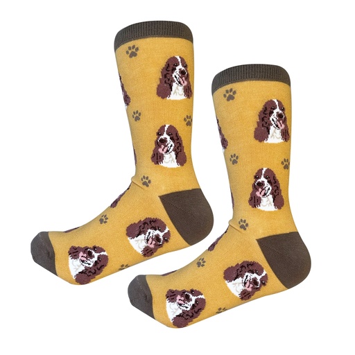 [800-42] Springer Spaniel socks