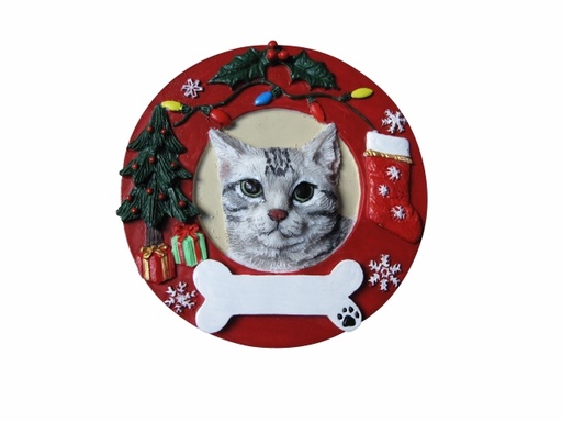 [332-9] Tabby, silver Circle- Shaped Ornament