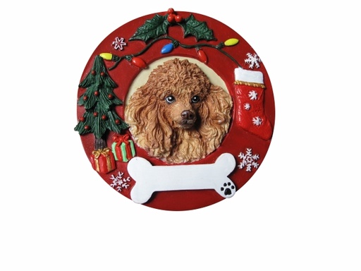 [331-30] Poodle, apricot