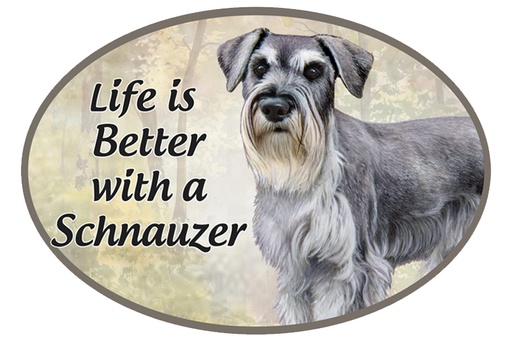 [1001-105] Schnauzer, uc car magnets, oval