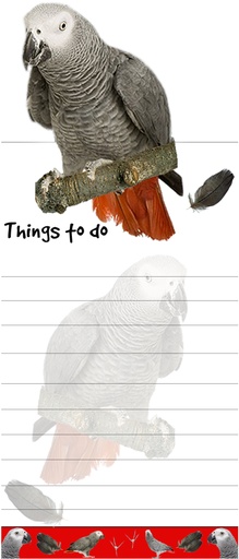 [403-40] African Grey Notepads, Magnetic Tall Die-Cut