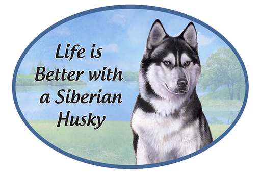 [1001-40] Siberian Husky car magnets, oval
