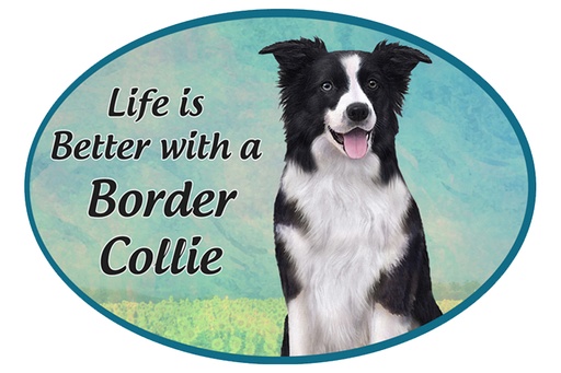 [1001-5] Border Collie car magnets, oval