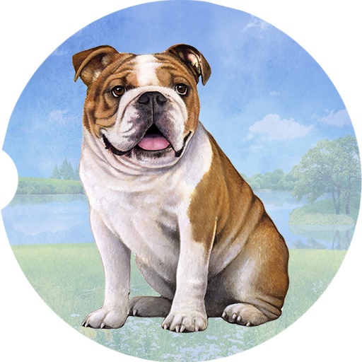 Bulldog coasters car