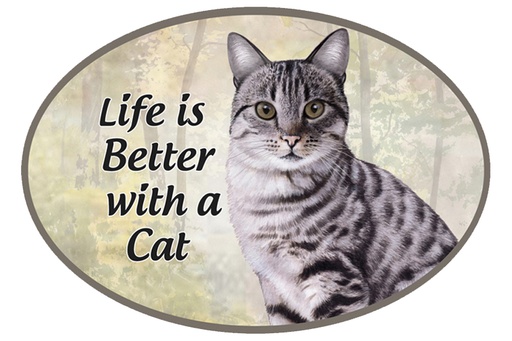 [1002-9] Tabby, silver car magnets, oval