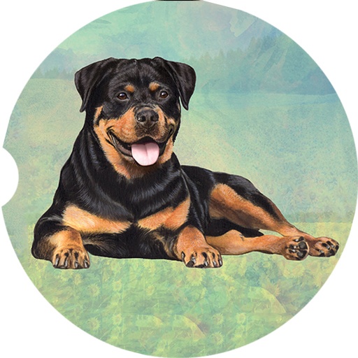 Rottweiler coasters car