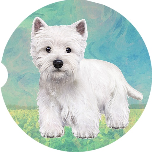 Westie coasters car