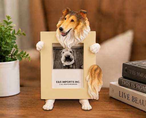 [35315-67] Collie (2 1/2x 3 1/2)