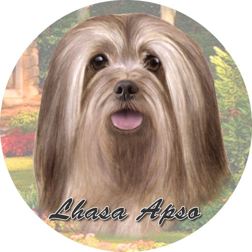 [231-23] Lhasa Apso, Car Coaster