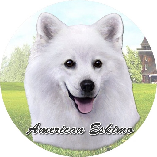 [231-85] American Eskimo Car Coaster