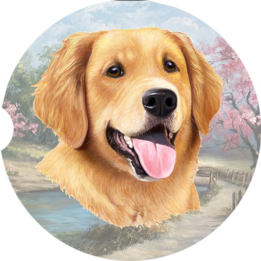 Golden Retriever Face coasters car