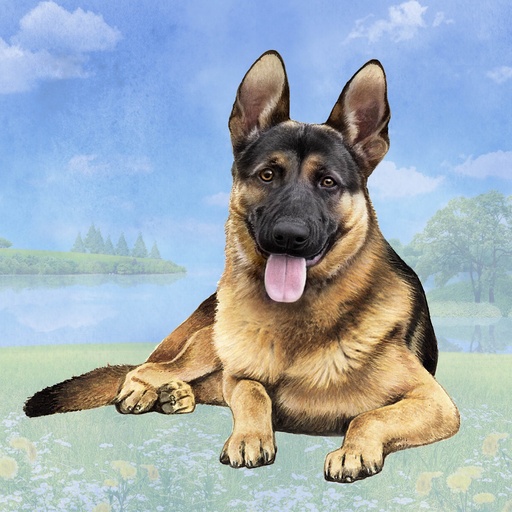 German Shepherd Coaster, square