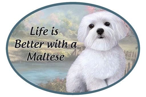 [1001-24] Maltese car magnets, oval