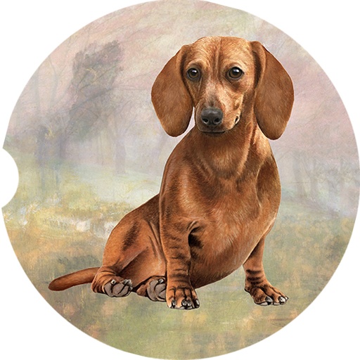 Dachshund Red Sitting coasters car