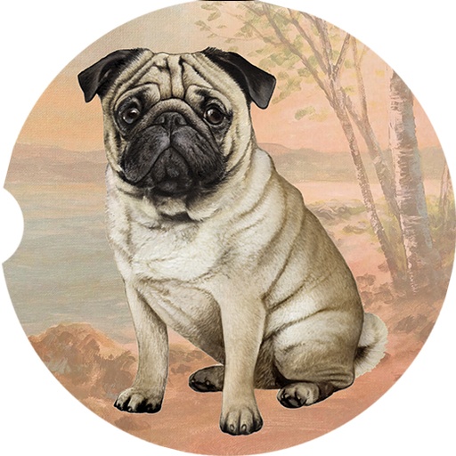 Pug_Tan coasters car