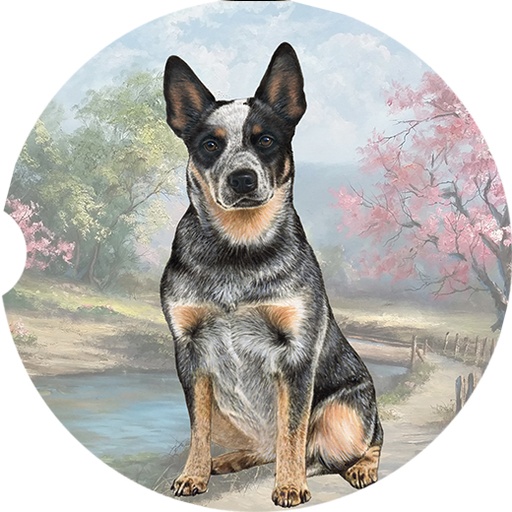 Australian Cattle Dog Sitting coasters car