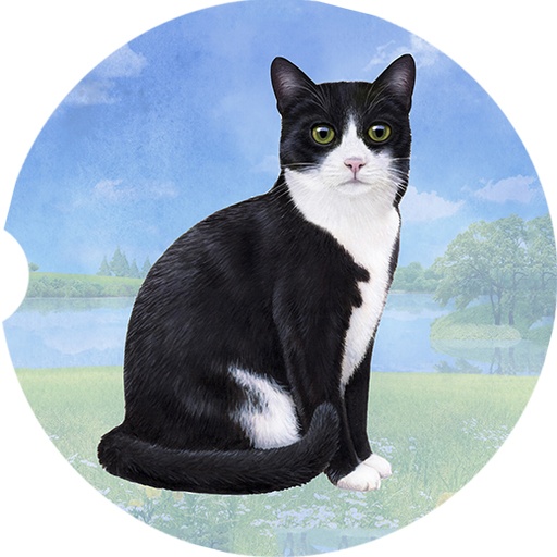 black and white cat coasters car
