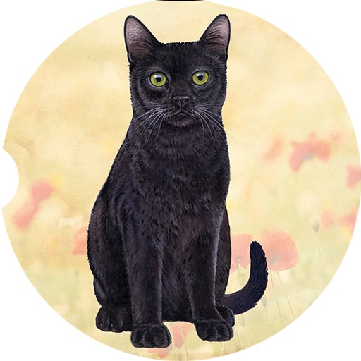 Black Sitting coasters car