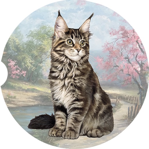 Maine Coon coasters car