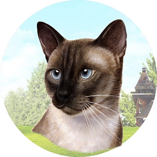 [232-7] Siamese Car Coaster