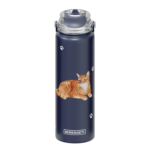 [421-8] Tabby Orange water bottle