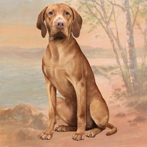[250-55] Vizsla Coaster, square